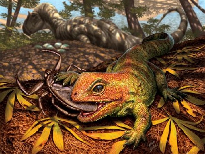 Paleontologists Unearth 'Edward Scissorhands' Reptile In Brazil