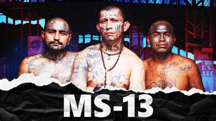 Sombra Negra, The Vigilante Group That's Taking Out MS-13