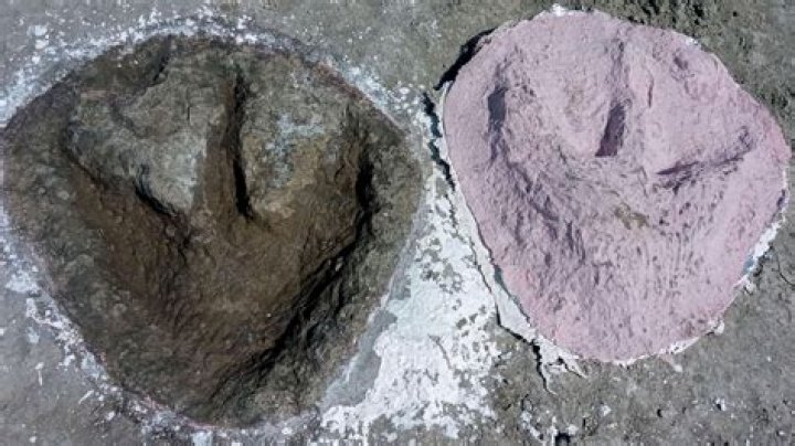 World's Largest Dinosaur Footprint Discovered In Mongolia